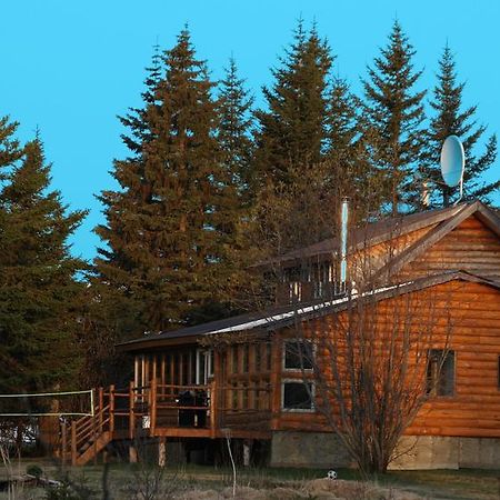 Bear Den Vacation Home Anchor Point Chambre photo