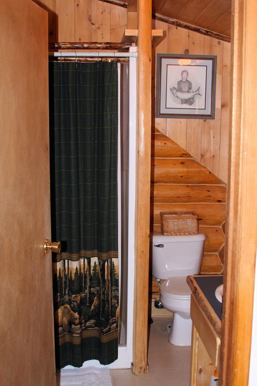 Bear Den Vacation Home Anchor Point Chambre photo