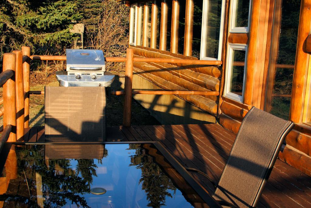 Bear Den Vacation Home Anchor Point Chambre photo